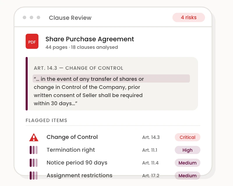 Clause Risk Flag Spa